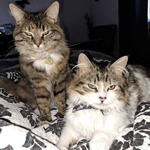 Meet your Posher, Marie-claude